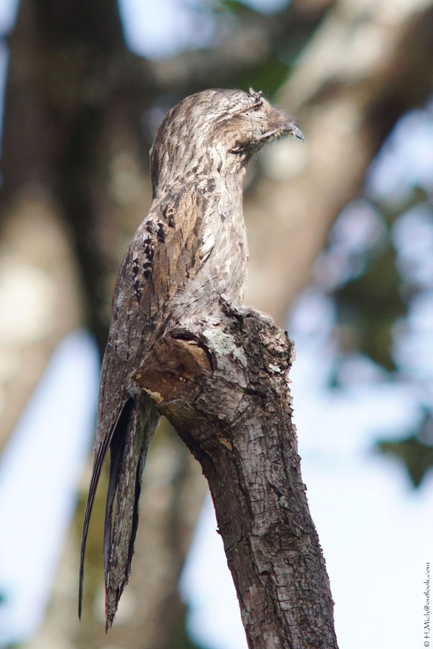 Studio-One.Art.br Repo Fotografia em Rio Preto SP/Brasil