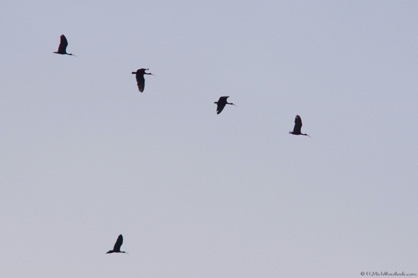 Studio-One.Art.br Repo Fotografia em Rio Preto SP/Brasil