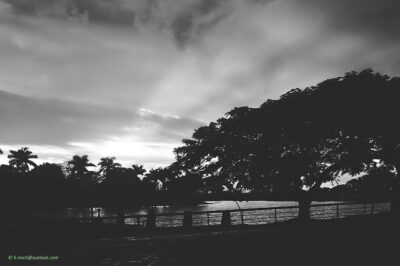 2022 06 15(23)