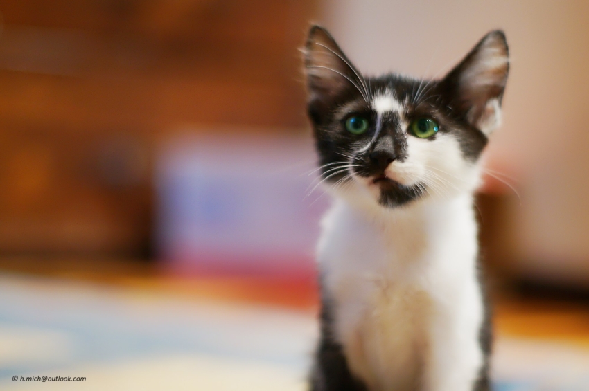 Studio-One.Art.br Repo Fotografia em Rio Preto SP/Brasil