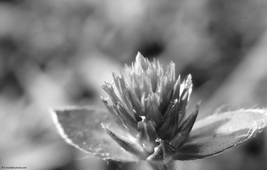 Studio-One.Art.br Repo Fotografia em Rio Preto SP/Brasil