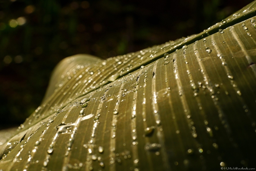 Studio-One.Art.br Repo Fotografia em Rio Preto SP/Brasil