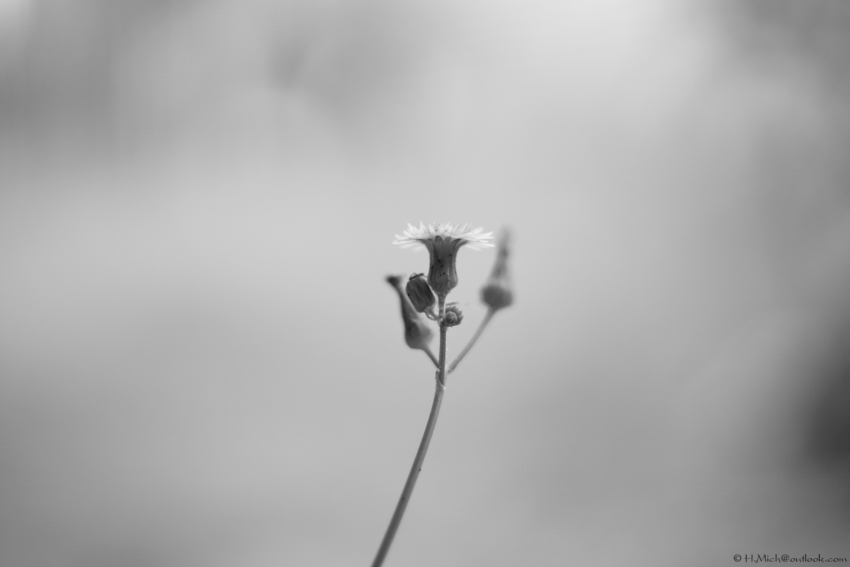 Studio-One.Art.br Repo Fotografia em Rio Preto SP/Brasil