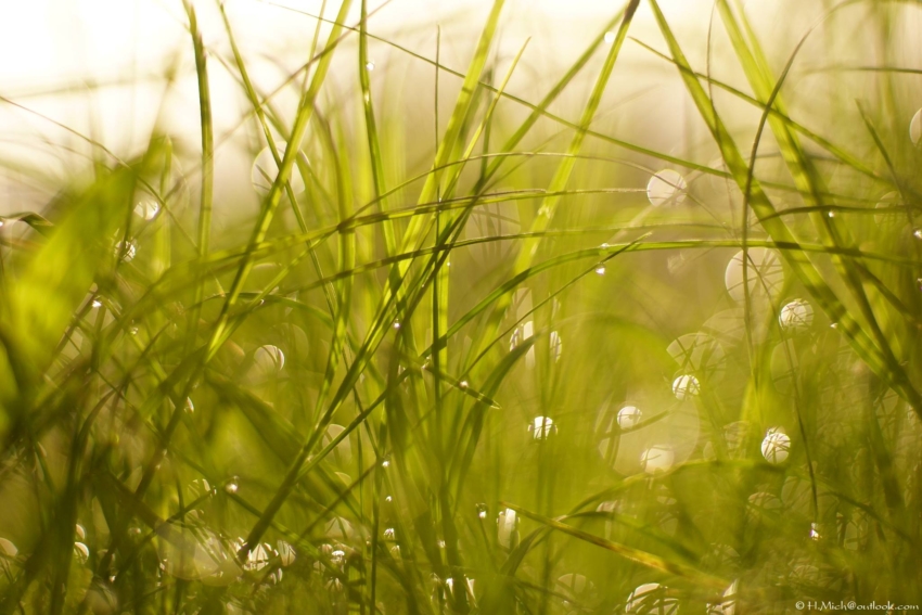 Studio-One.Art.br Repo Fotografia em Rio Preto SP/Brasil