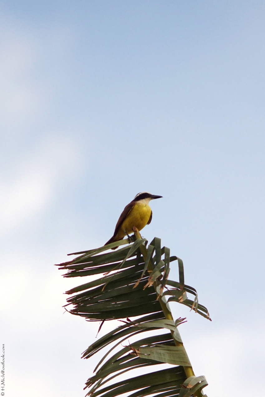 Studio-One.Art.br Repo Fotografia em Rio Preto SP/Brasil