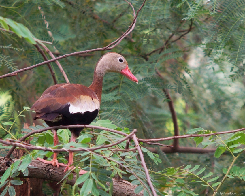 Studio-One.Art.br Repo Fotografia em Rio Preto SP/Brasil