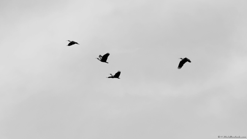 Studio-One.Art.br Repo Fotografia em Rio Preto SP/Brasil