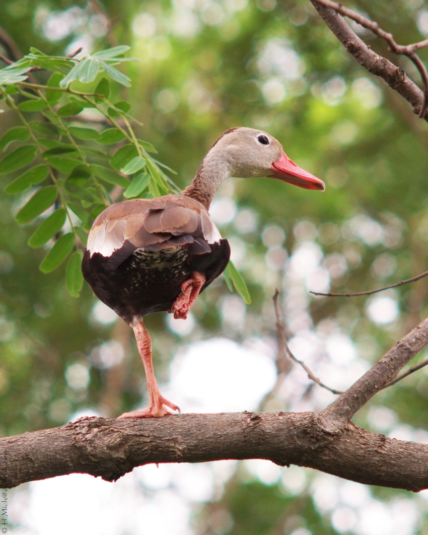 Studio-One.Art.br Repo Fotografia em Rio Preto SP/Brasil