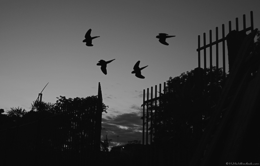 Studio-One.Art.br Repo Fotografia em Rio Preto SP/Brasil