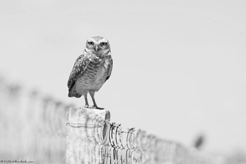 Studio-One.Art.br Repo Fotografia em Rio Preto SP/Brasil