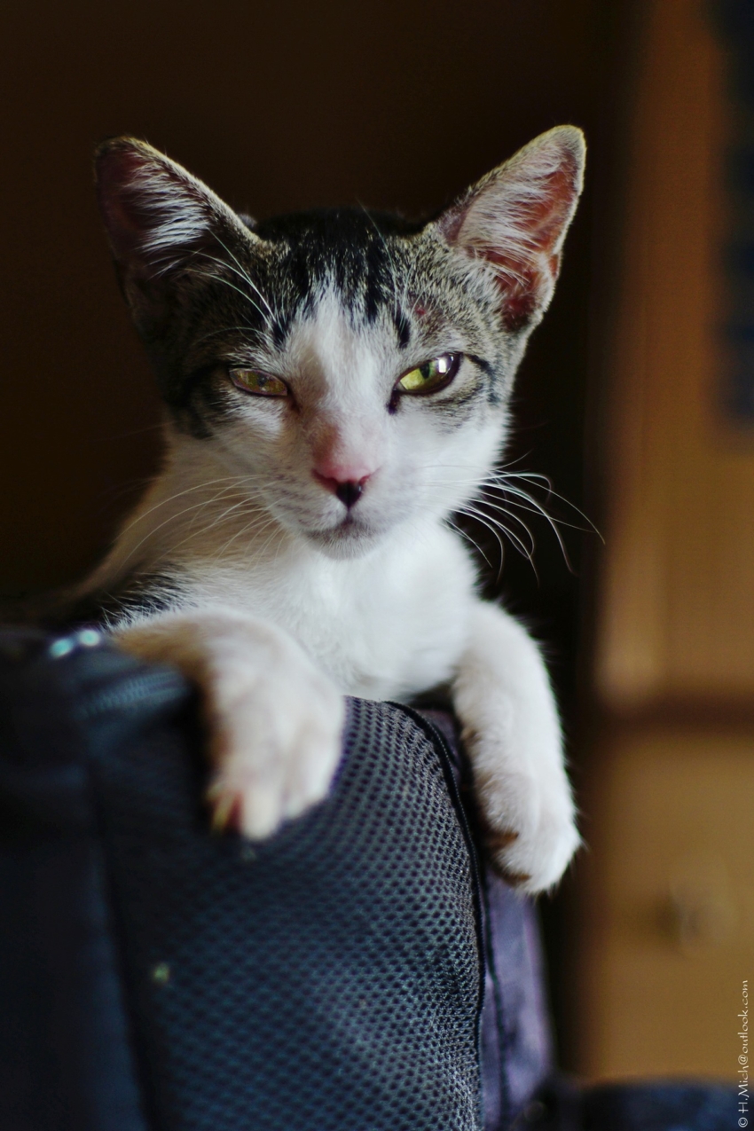 Studio-One.Art.br Repo Fotografia em Rio Preto SP/Brasil