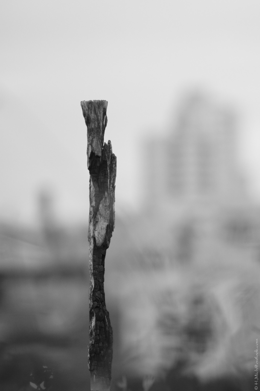 Studio-One.Art.br Repo Fotografia em Rio Preto SP/Brasil