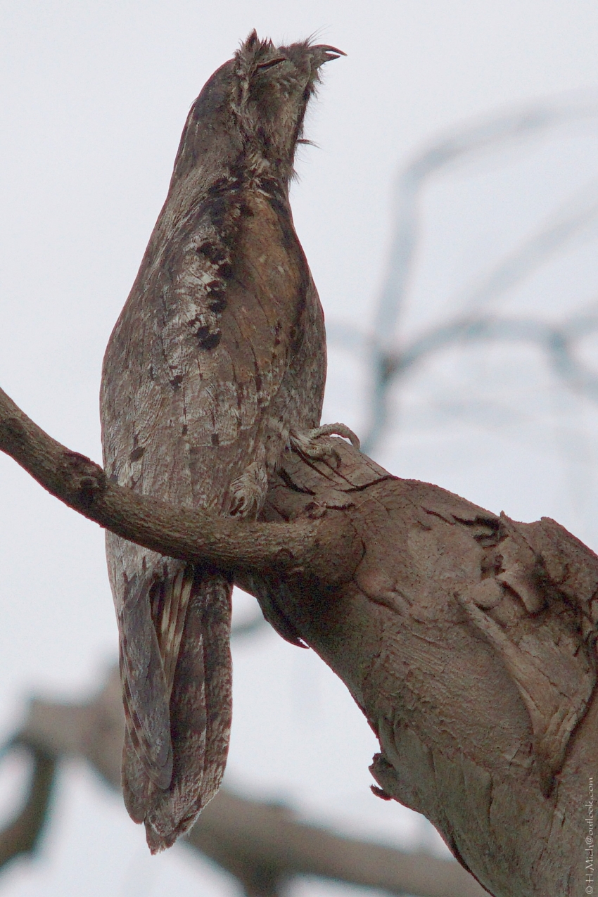 Studio-One.Art.br Repo Fotografia em Rio Preto SP/Brasil