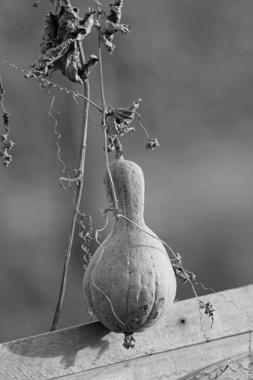 Studio-One.Art.br Repo Fotografia em Rio Preto SP/Brasil