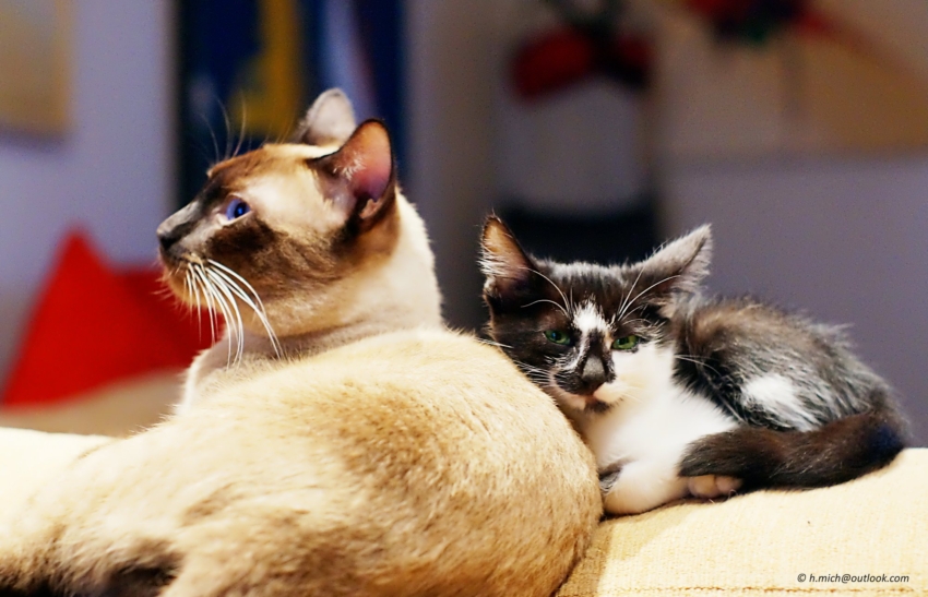 Studio-One.Art.br Repo Fotografia em Rio Preto SP/Brasil