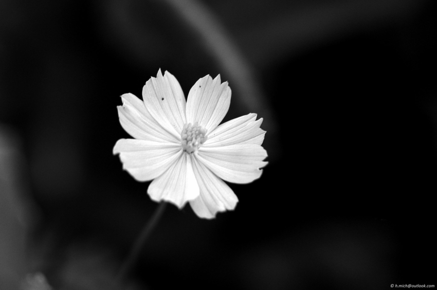 Studio-One.Art.br Repo Fotografia em Rio Preto SP/Brasil