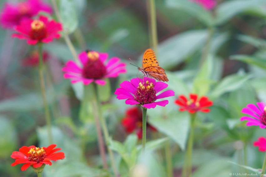 Studio-One.Art.br Repo Fotografia em Rio Preto SP/Brasil