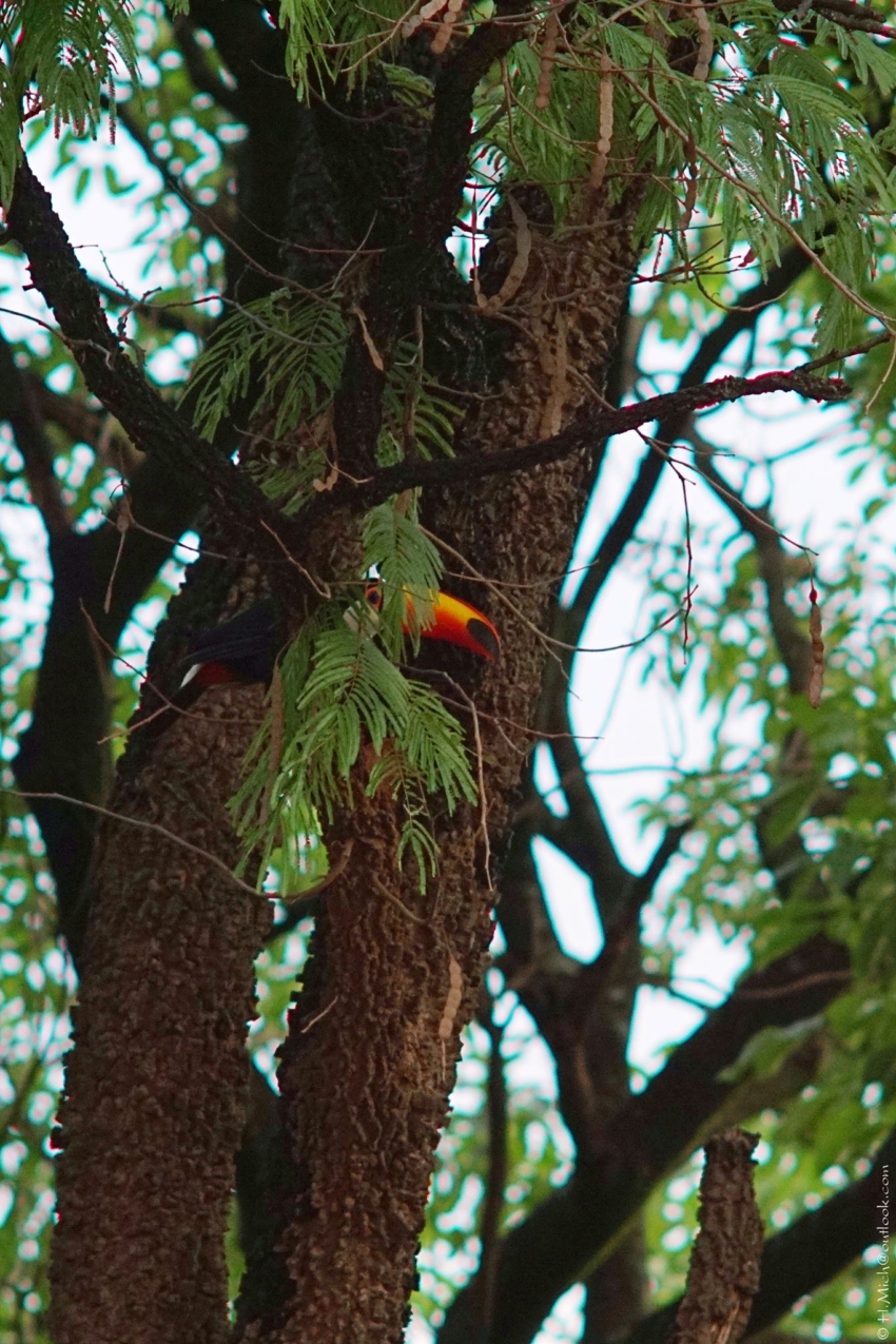 Studio-One.Art.br Repo Fotografia em Rio Preto SP/Brasil