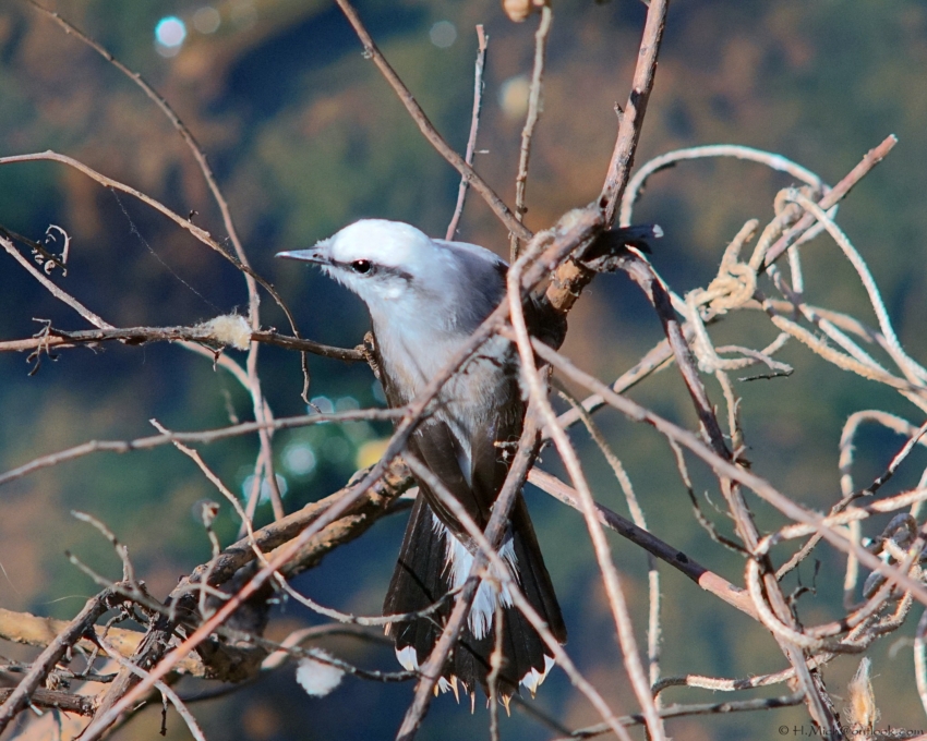 Studio-One.Art.br Repo Fotografia em Rio Preto SP/Brasil