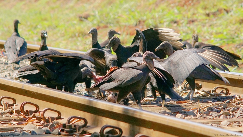 Studio-One.Art.br Repo Fotografia em Rio Preto SP/Brasil