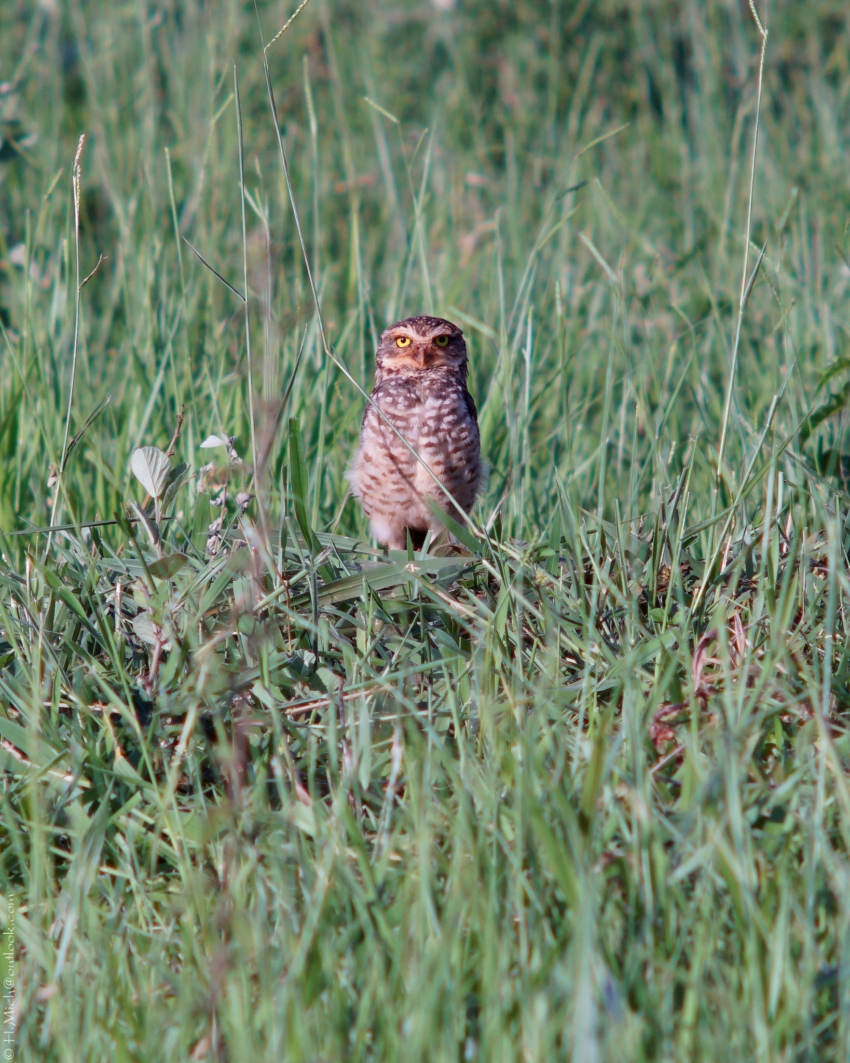 Studio-One.Art.br Repo Fotografia em Rio Preto SP/Brasil
