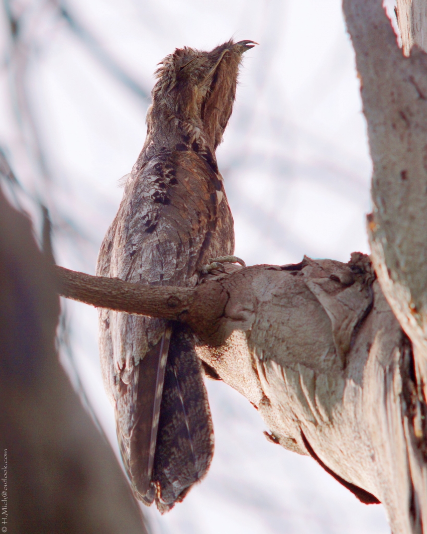 Studio-One.Art.br Repo Fotografia em Rio Preto SP/Brasil