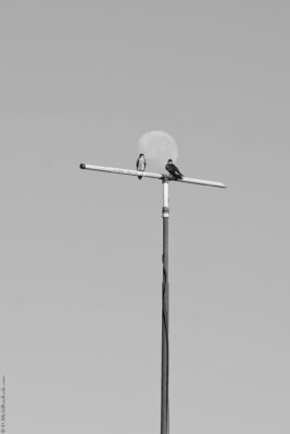2022 06 15(245)