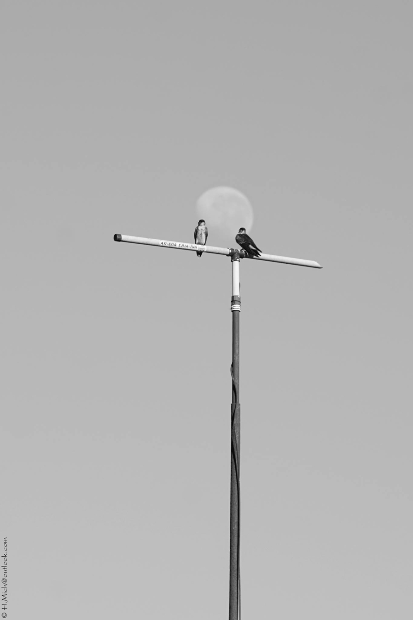 Studio-One.Art.br Repo Fotografia em Rio Preto SP/Brasil