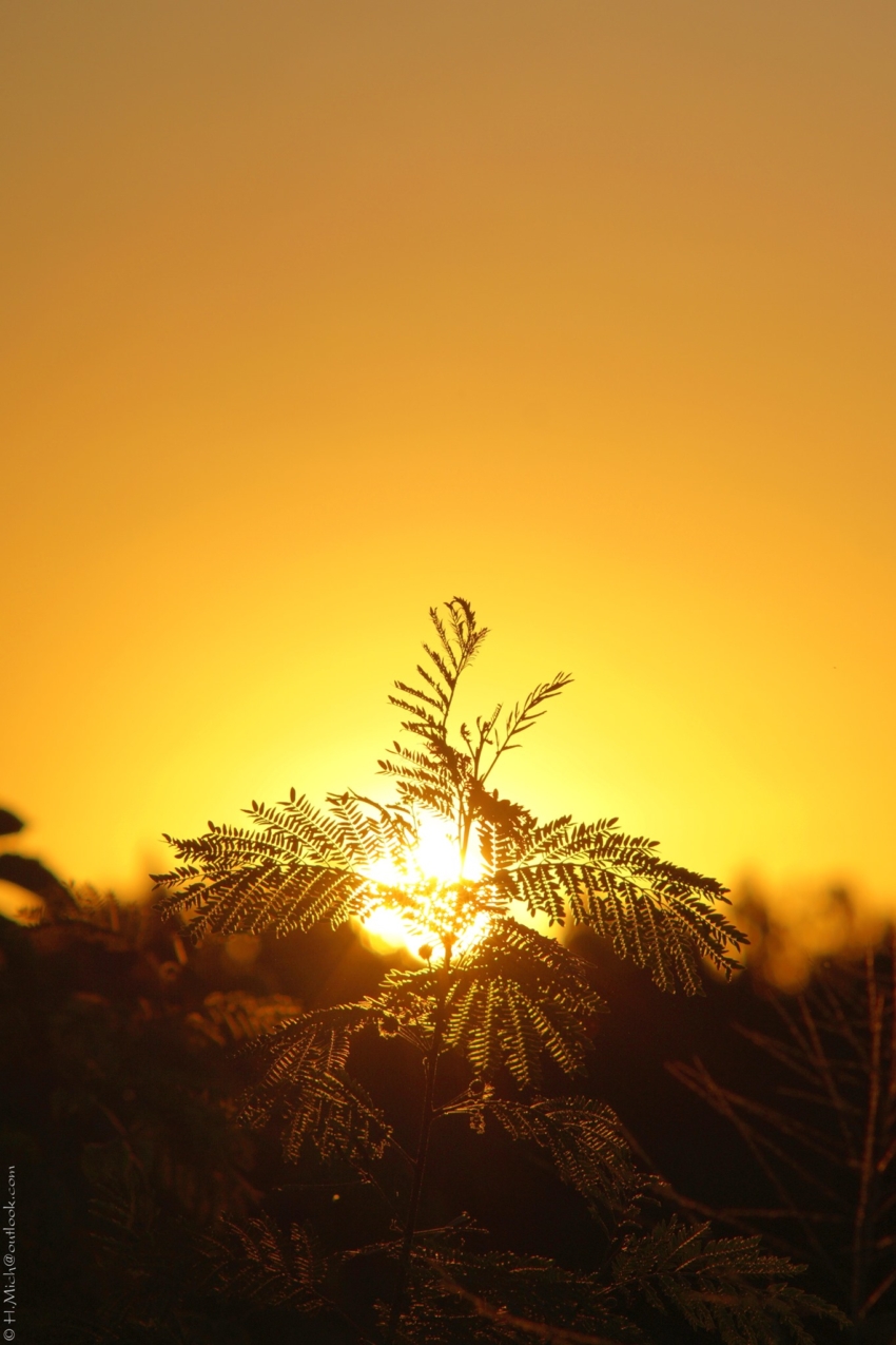 Studio-One.Art.br Repo Fotografia em Rio Preto SP/Brasil