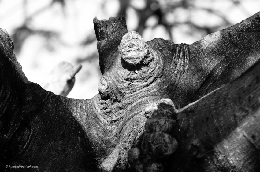 Studio-One.Art.br Repo Fotografia em Rio Preto SP/Brasil