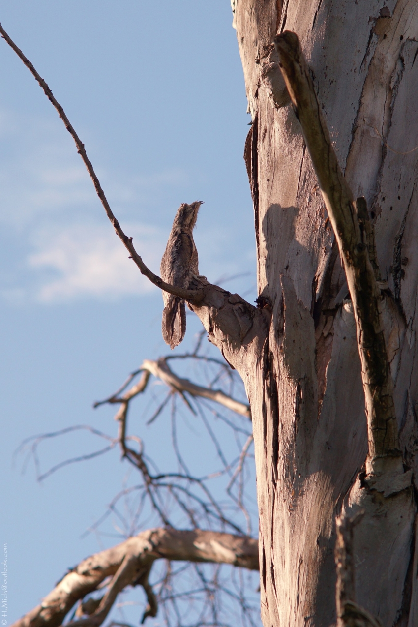 Studio-One.Art.br Repo Fotografia em Rio Preto SP/Brasil
