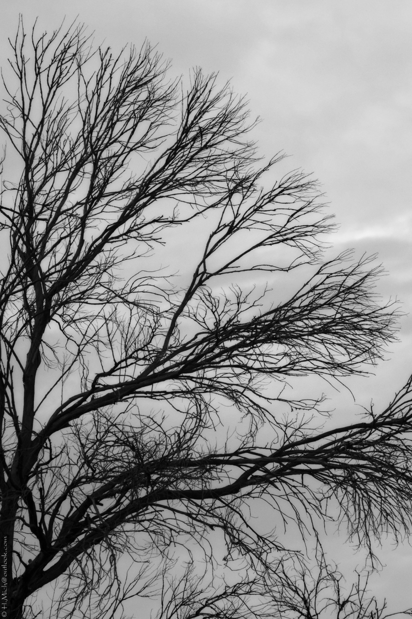 Studio-One.Art.br Repo Fotografia em Rio Preto SP/Brasil