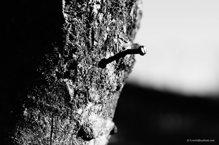 Studio-One.Art.br Repo Fotografia em Rio Preto SP/Brasil