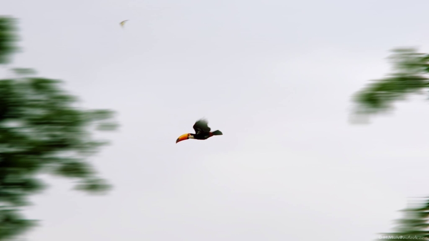 Studio-One.Art.br Repo Fotografia em Rio Preto SP/Brasil