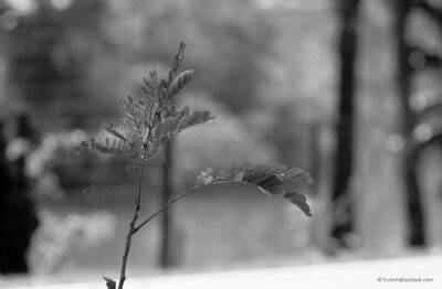 2022 06 15(249)
