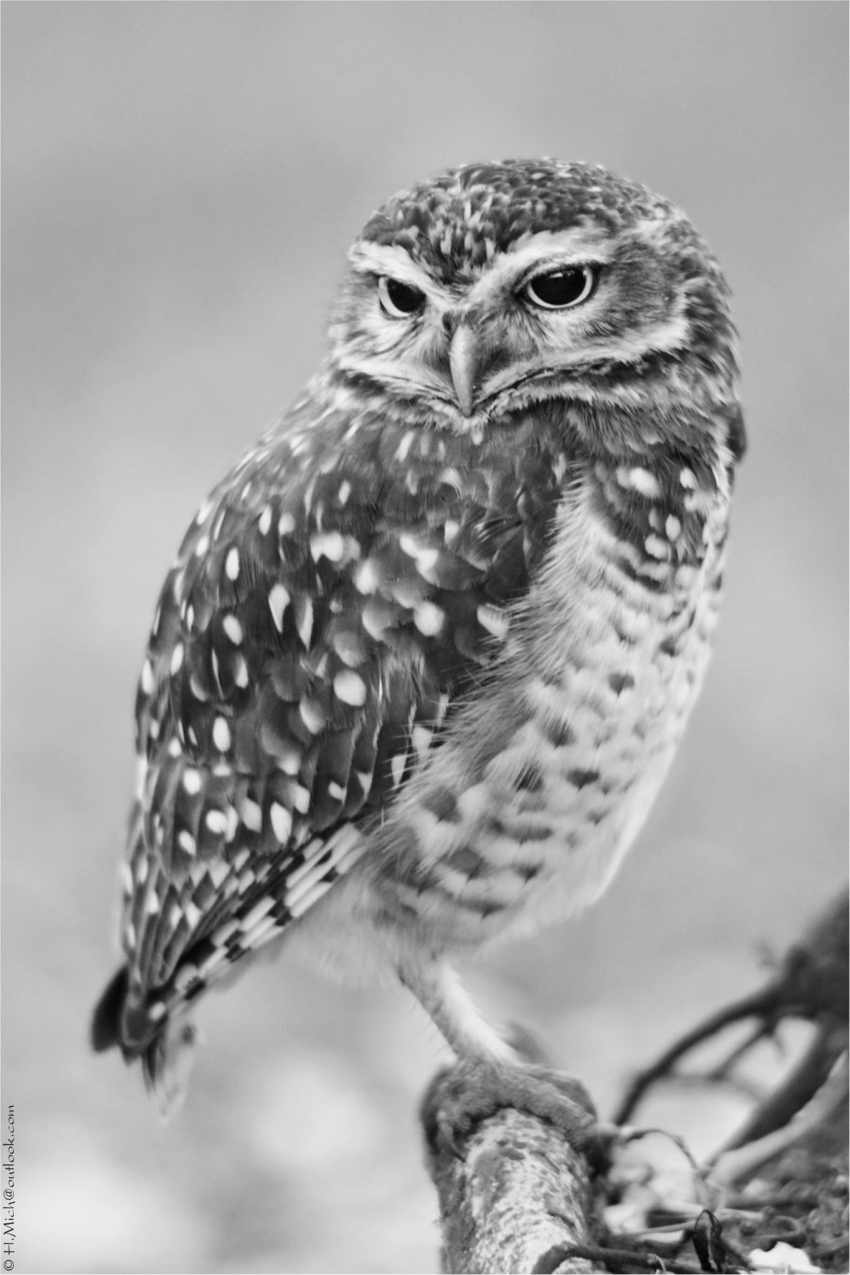 Studio-One.Art.br Repo Fotografia em Rio Preto SP/Brasil