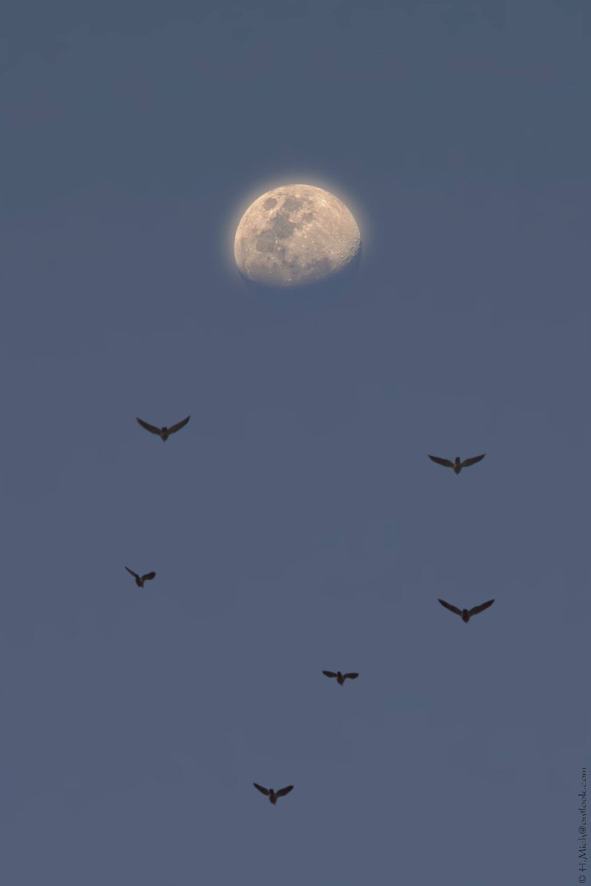 Studio-One.Art.br Repo Fotografia em Rio Preto SP/Brasil