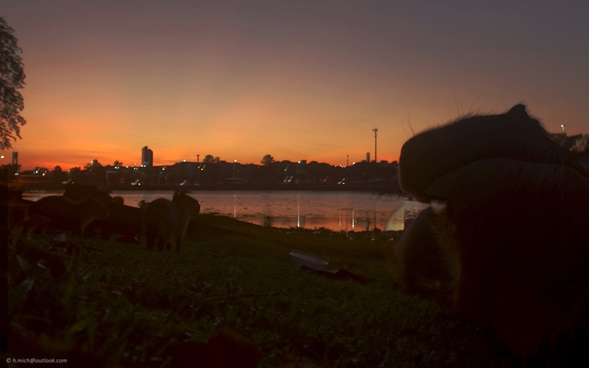 Studio-One.Art.br Repo Fotografia em Rio Preto SP/Brasil