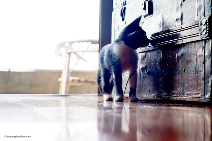 Studio-One.Art.br Repo Fotografia em Rio Preto SP/Brasil