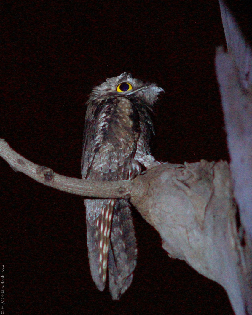 Studio-One.Art.br Repo Fotografia em Rio Preto SP/Brasil