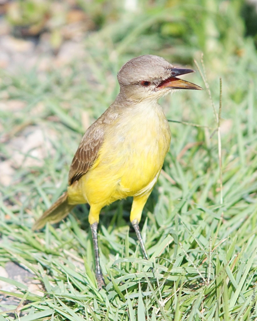 Studio-One.Art.br Repo Fotografia em Rio Preto SP/Brasil