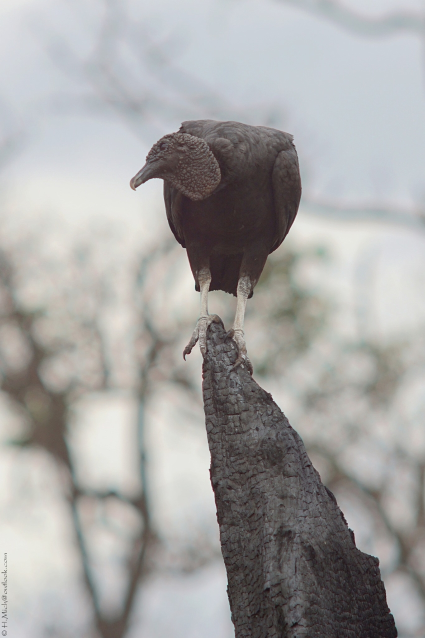 Studio-One.Art.br Repo Fotografia em Rio Preto SP/Brasil
