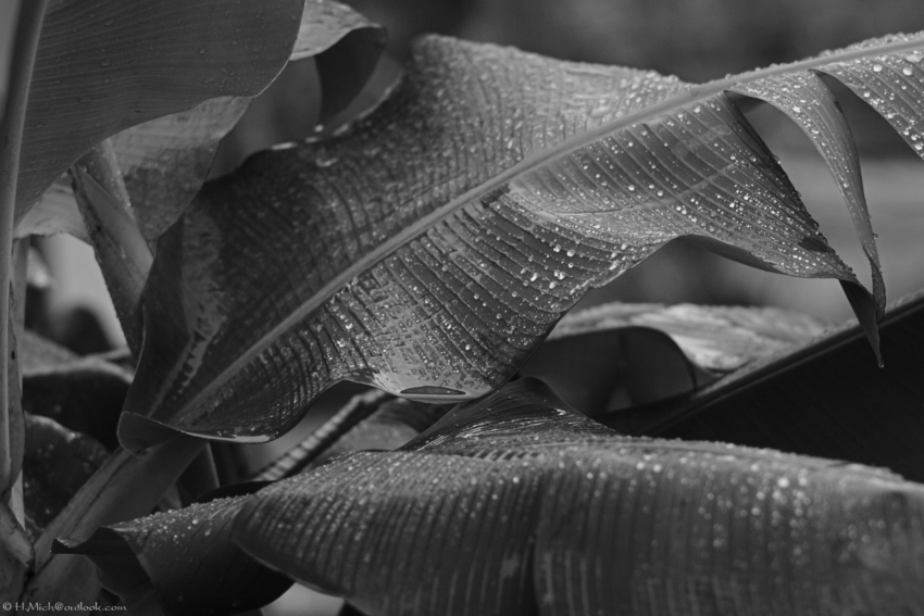 Studio-One.Art.br Repo Fotografia em Rio Preto SP/Brasil