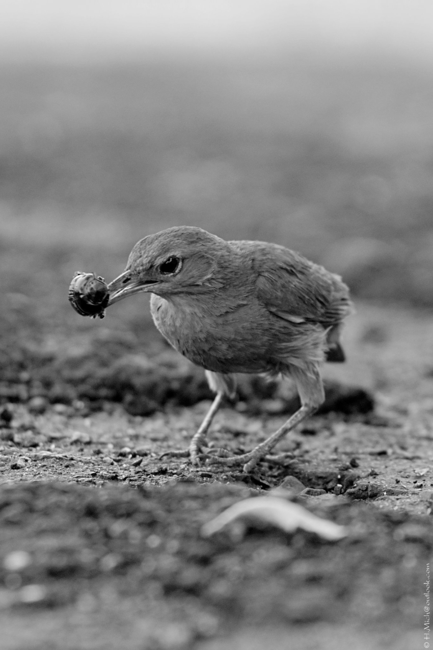 Studio-One.Art.br Repo Fotografia em Rio Preto SP/Brasil