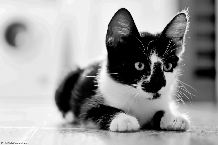 Studio-One.Art.br Repo Fotografia em Rio Preto SP/Brasil