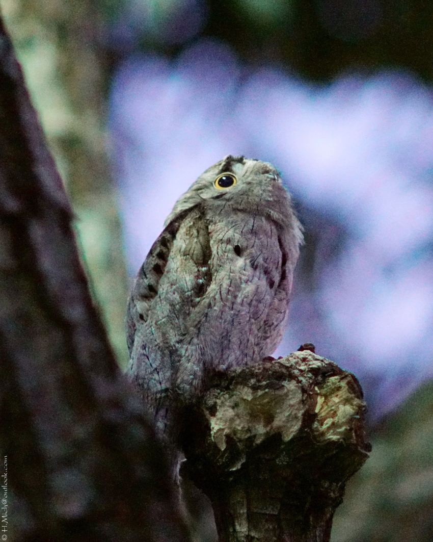Studio-One.Art.br Repo Fotografia em Rio Preto SP/Brasil