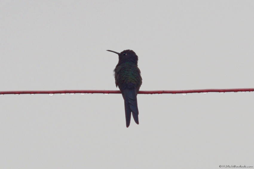 Studio-One.Art.br Repo Fotografia em Rio Preto SP/Brasil