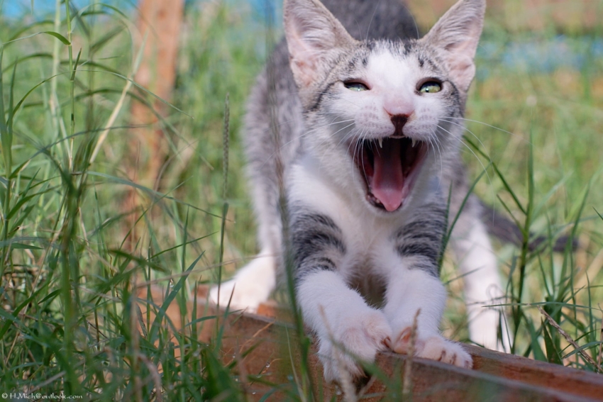 Studio-One.Art.br Repo Fotografia em Rio Preto SP/Brasil