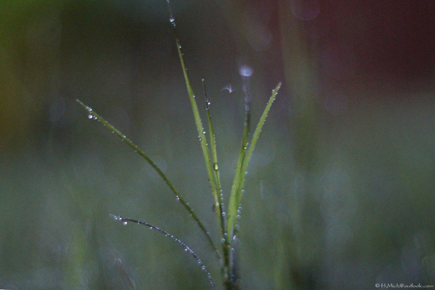 Studio-One.Art.br Repo Fotografia em Rio Preto SP/Brasil