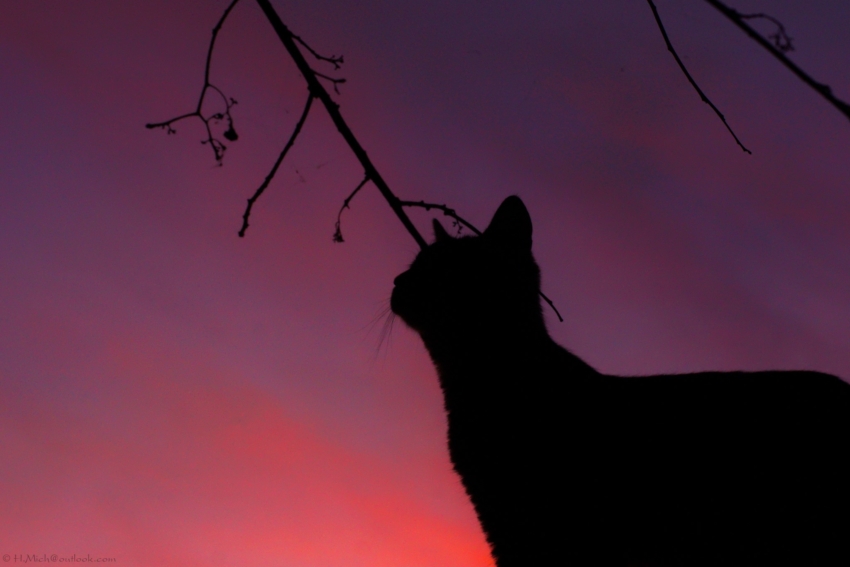 Studio-One.Art.br Repo Fotografia em Rio Preto SP/Brasil